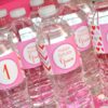 Heart and Chevron Theme Water Bottle Labels Set of 10