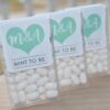 Mint Favor Labels Set of 24
